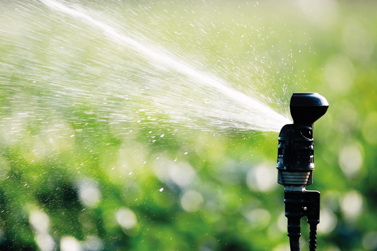 Irrigazione: come farla al meglio sfatando qualche mito