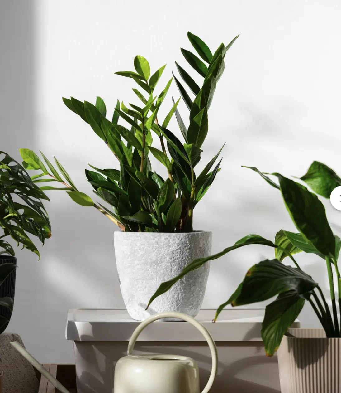 banner offerte della settimana